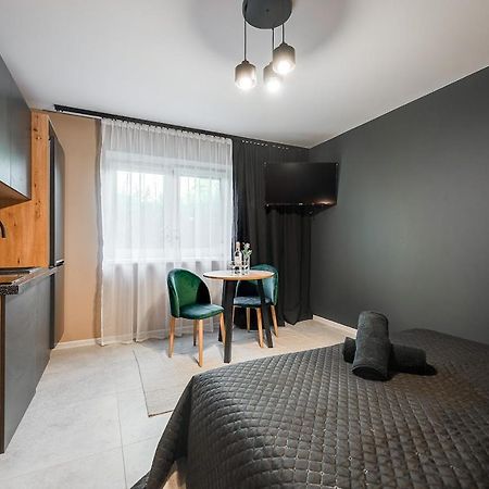 Loft House Apartment Studio Z Ogrodkiem 1 Rybnik  Luaran gambar