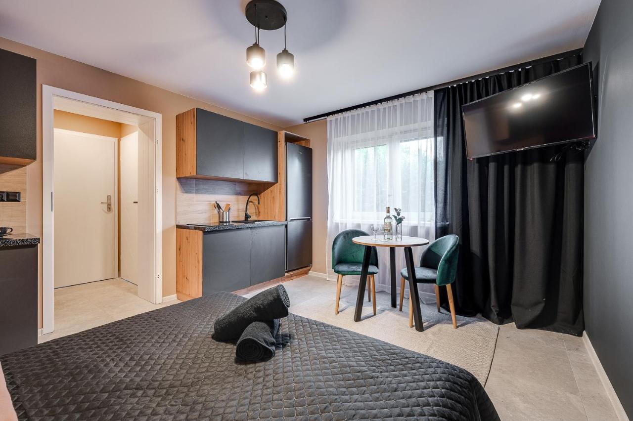 Loft House Apartment Studio Z Ogrodkiem 1 Rybnik  Luaran gambar