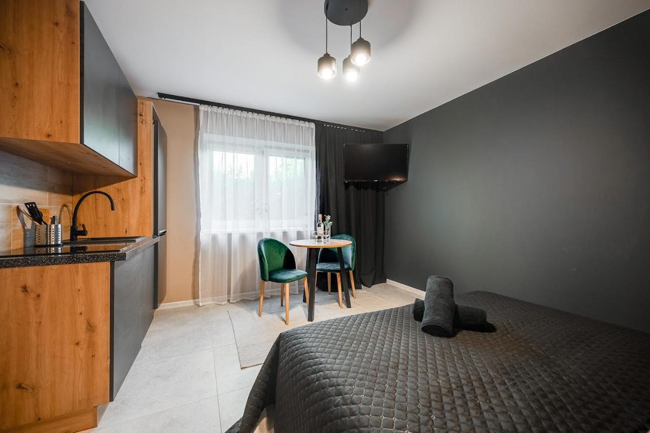Loft House Apartment Studio Z Ogrodkiem 1 Rybnik  Luaran gambar